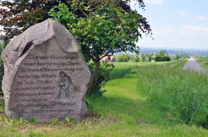 Bild des Lebuinsteines